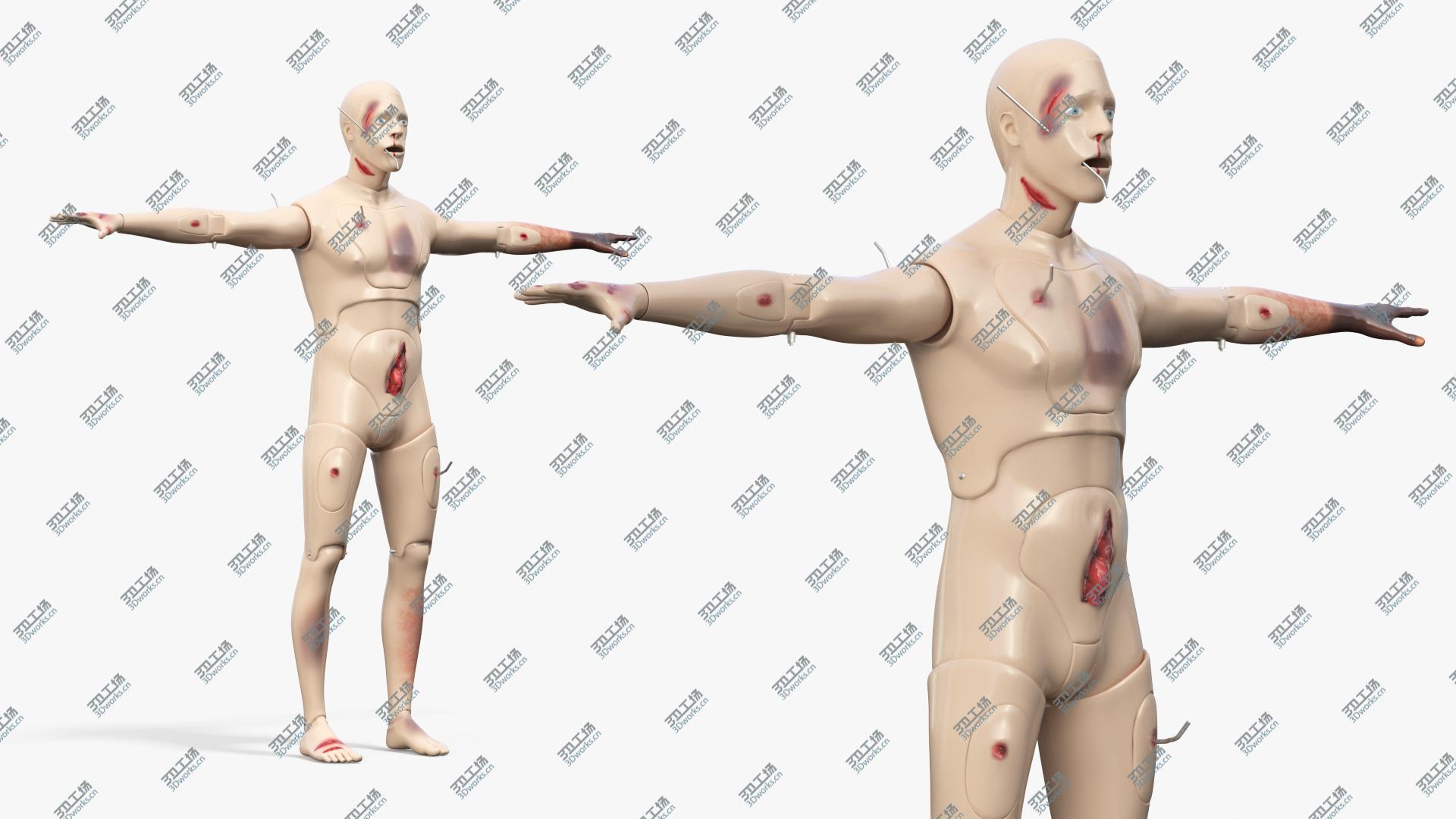 images/goods_img/2021040165/Trauma and Extrication Manikin T-Pose 3D model/2.jpg